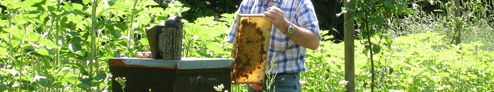 Imker mit Bienenwabe im Holzrahmen ©DLR